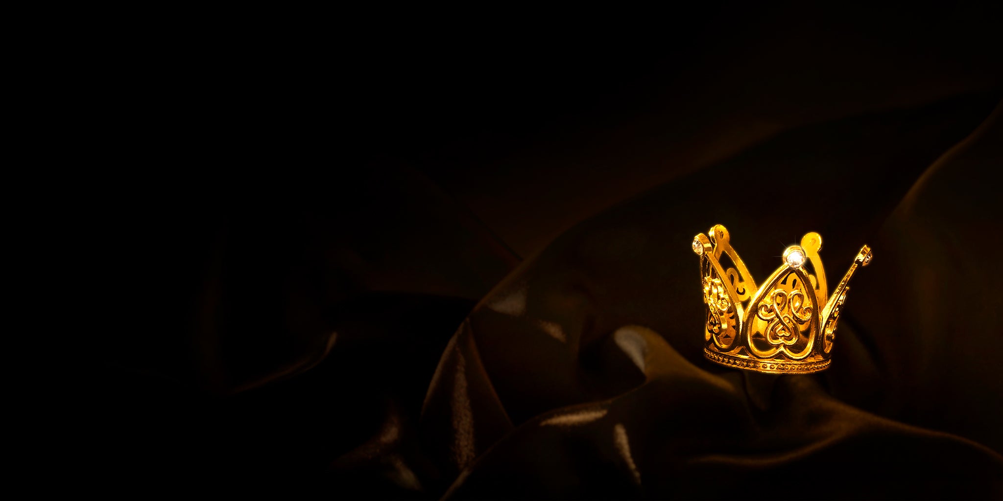 Root & Ritual About Intro – Cinematic Box Display